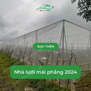 Nhà lưới mái phẳng 2025