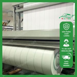 Bạt trải nền nhà màng năm 2025