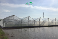 Tăng Thu Nhập Nhờ Nhà Màng: Giải Pháp Tối Ưu Cho Nông Dân