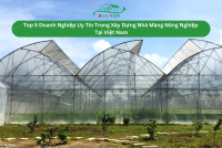 Top 5 Doanh Nghiệp Uy Tín Trong Xây Dựng Nhà Màng Nông Nghiệp Tại Việt Nam