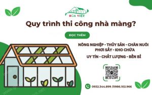 Quy trình thi công nhà màng